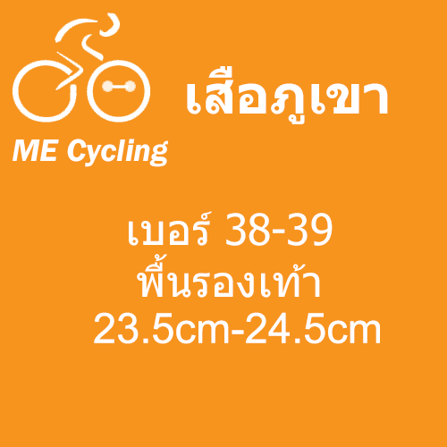 เสือภูเขา เบอร์ 38-39