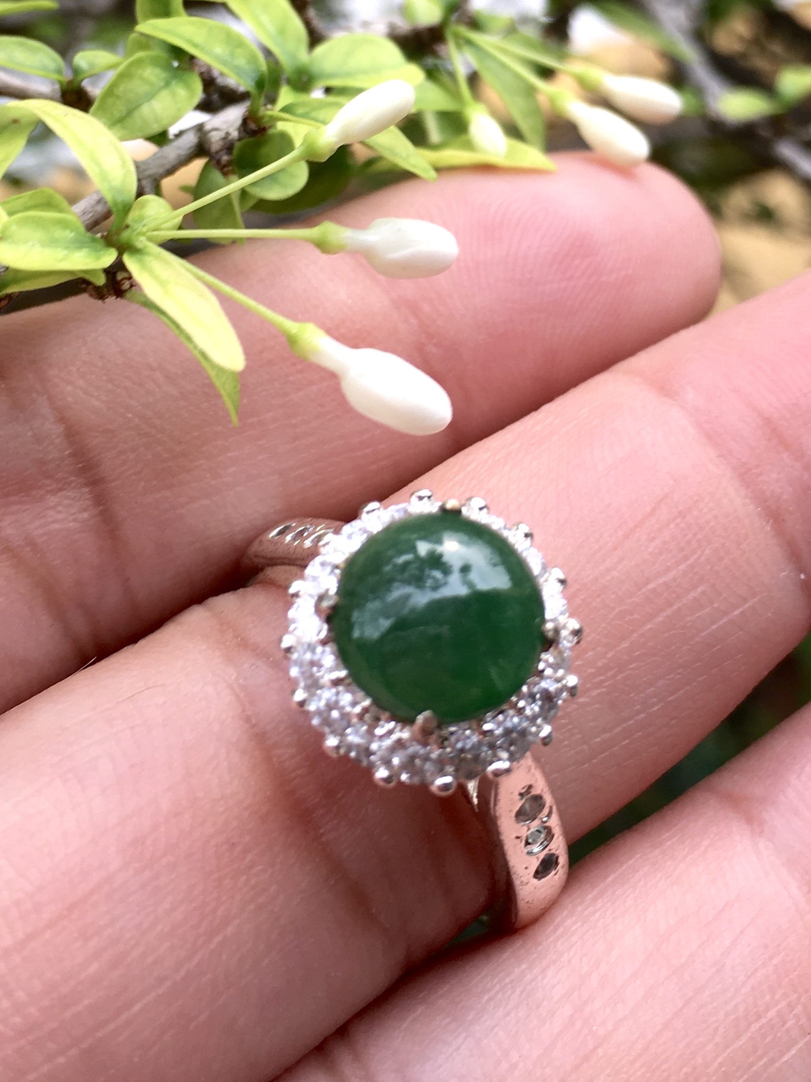 JADE แหวนหยกแท้ ทรงกลม 8 มม. หยกพม่า ไทป์ เอ พร้อมตัวเรือนล้อมเพชรczเกรดดี พร้อมใช้งาน