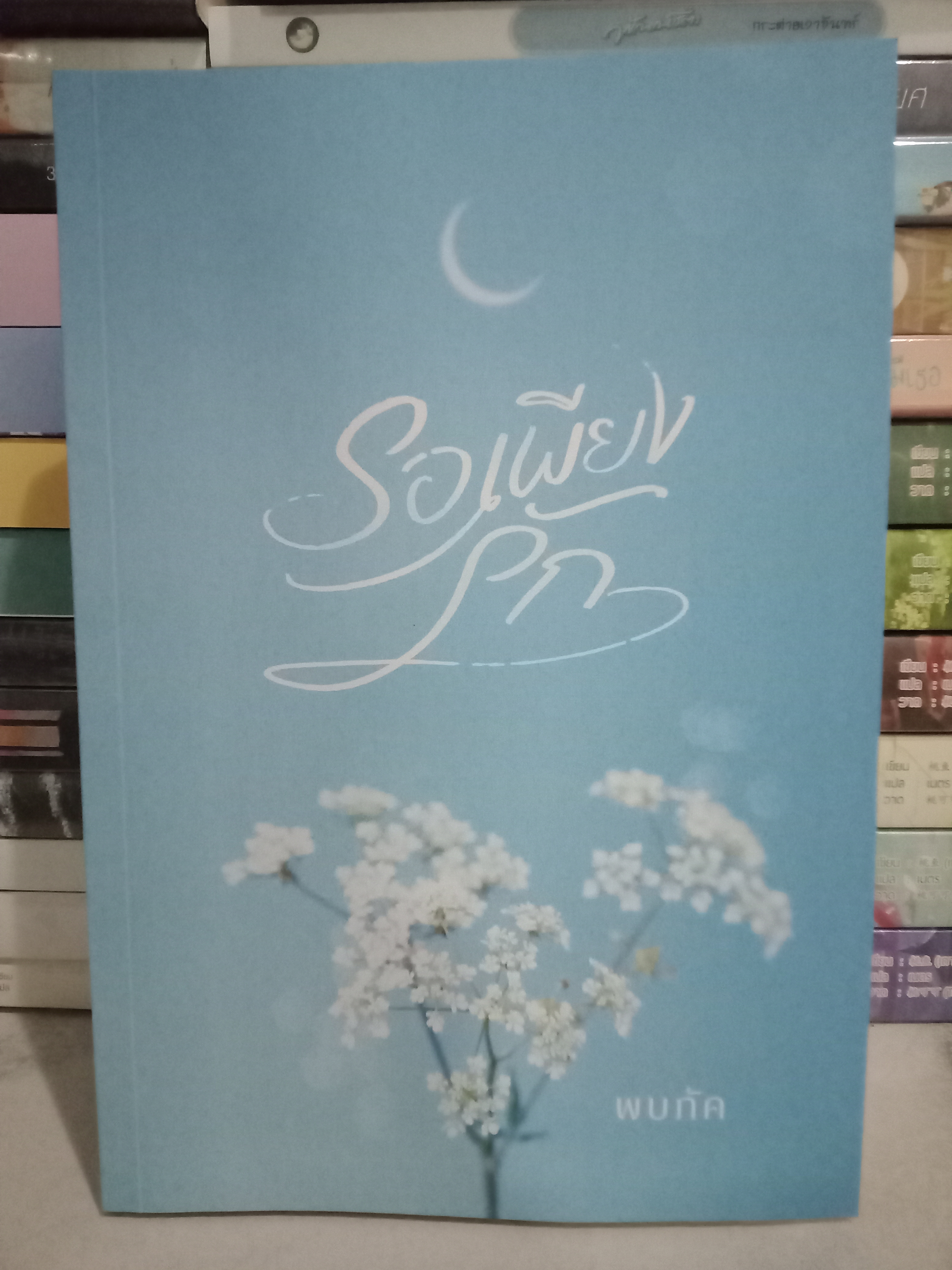 รอเพียงรัก / พบภัค (ภัคธร) / หนังสือทำมือ / ปก 315 บาท
