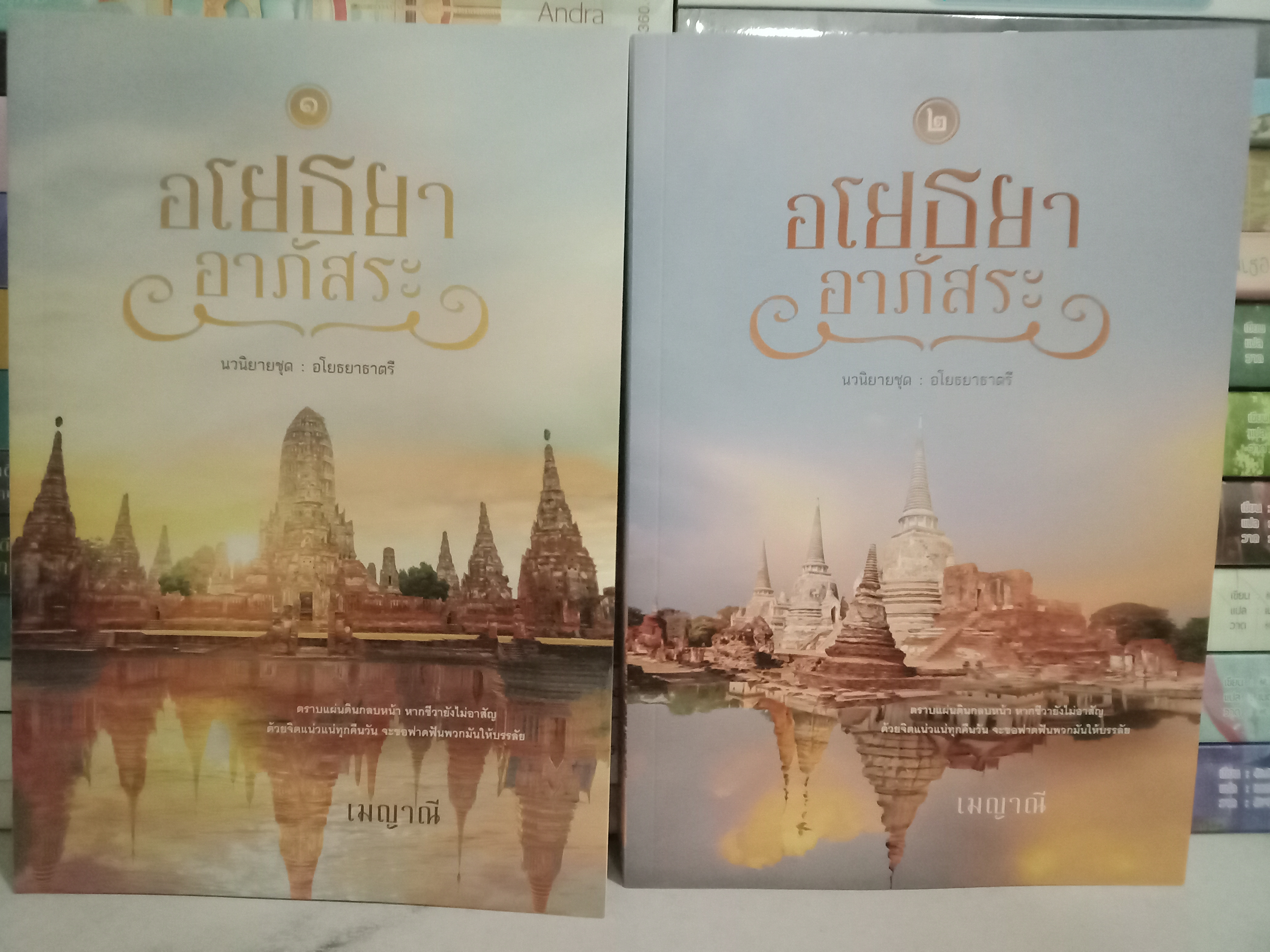 อโยธยาอาภัสระ 2 เล่มจบ / เมญาณี / หนังสือทำมือ / ปก 620 บาท