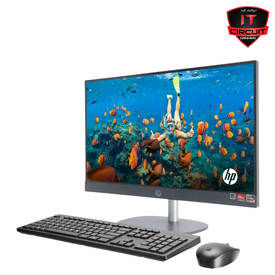 ALL-IN-ONE (ออลอินวัน) AIO HP ProOne 245 G10 (BX0D9PT#AKL) SN16968T5310H