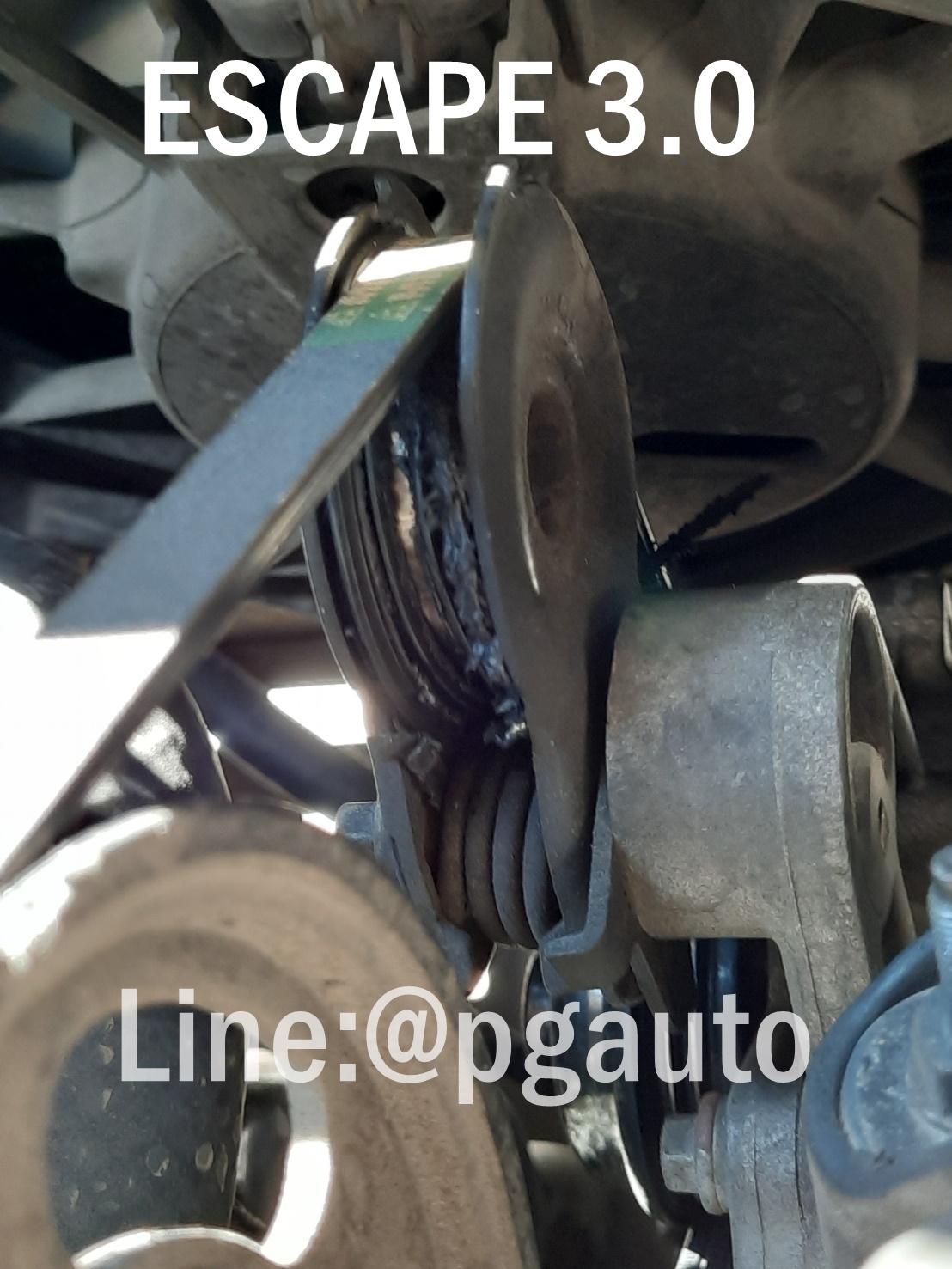 ลูกลอกสายพานปั๊มน้ำ FORD ESCAPE 3.0 V6 (1 ชิ้น) (รูปจริง) / แท้ศูนย์