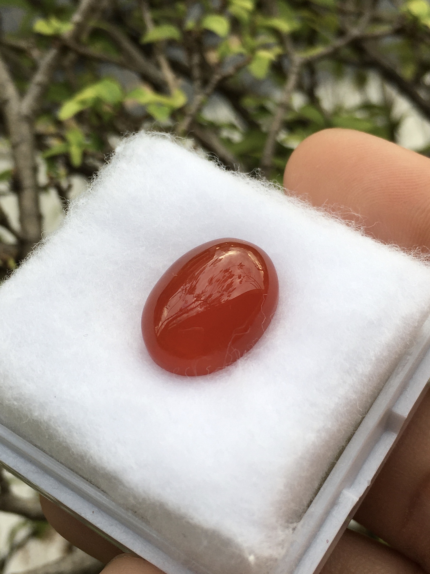RED AGATE โมราแดง 8.8 กะรัตหินแท้เนื้อเนียนสวย สีสดฉ่ำ