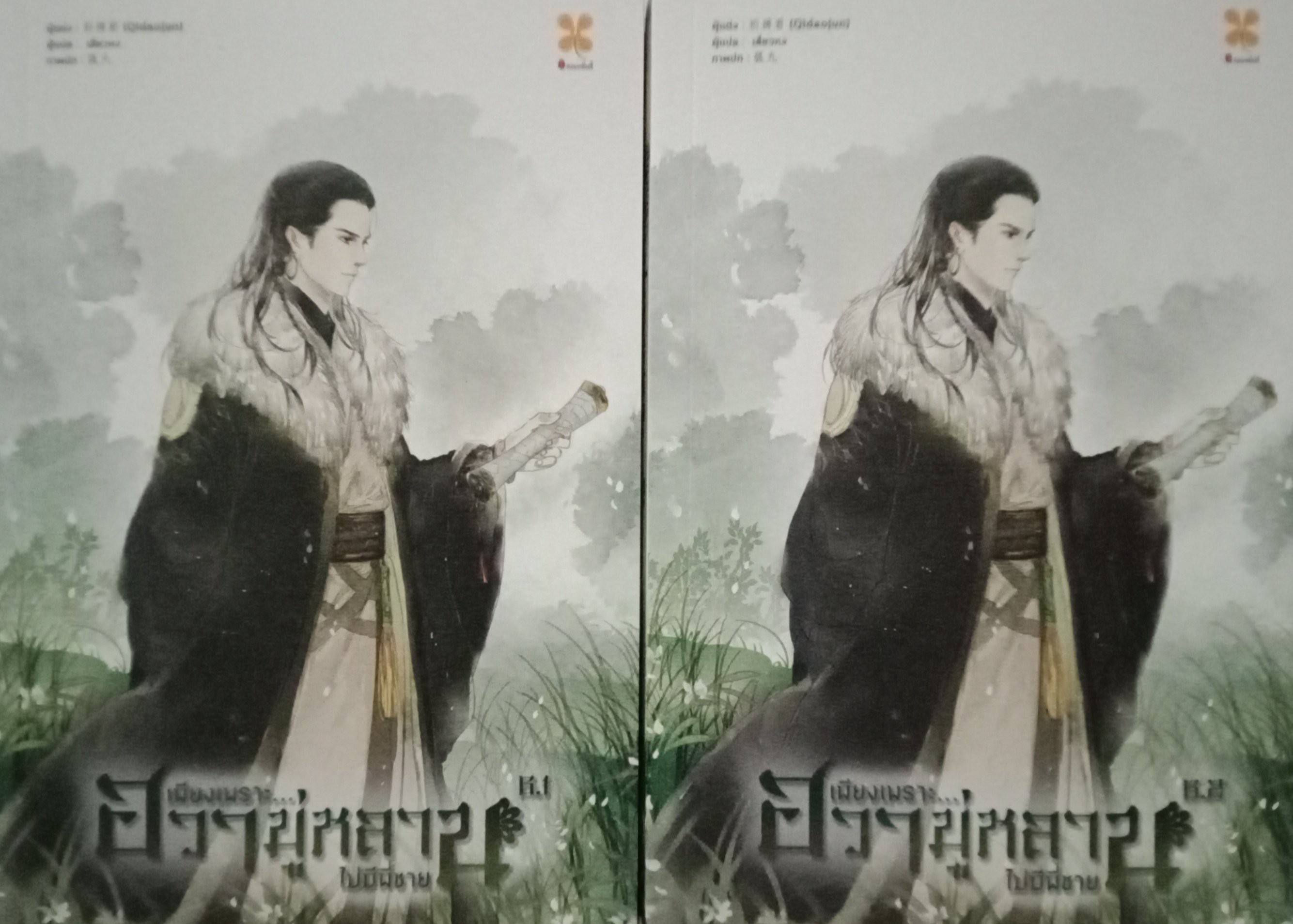 เพียงเพราะฮวามู่หลานไม่มีพี่ชาย เล่ม 6.1 + 6.2 (8 เล่มหลักจบ) / Qi Dao Jun / เสี่ยวหง (แปล) / หอมหมื่นลี้ (B2S) / ปก 720 บาท