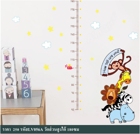 สติกเกอร์วัดส่วนสูง