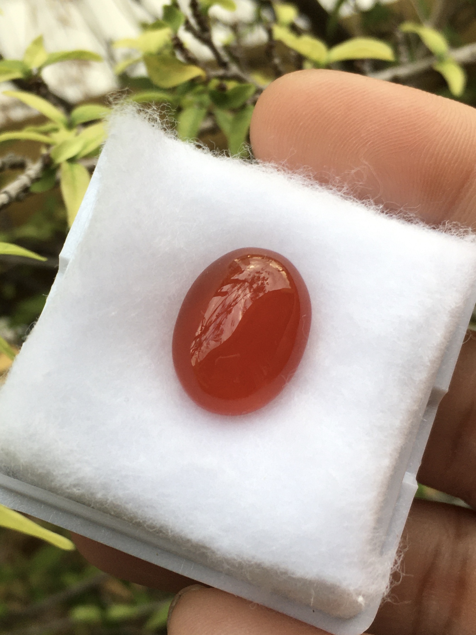 RED AGATE โมราแดง 8.8 กะรัตหินแท้เนื้อเนียนสวย สีสดฉ่ำ