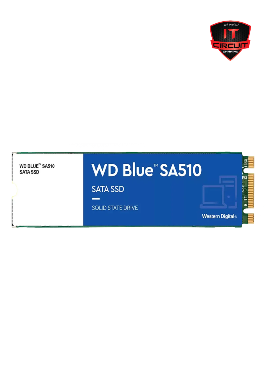 250 GB SSD (เอสเอสดี) M.2 SATA WD BLUE 3D NAND (WDS250G3B0B) SATA M.2 2280