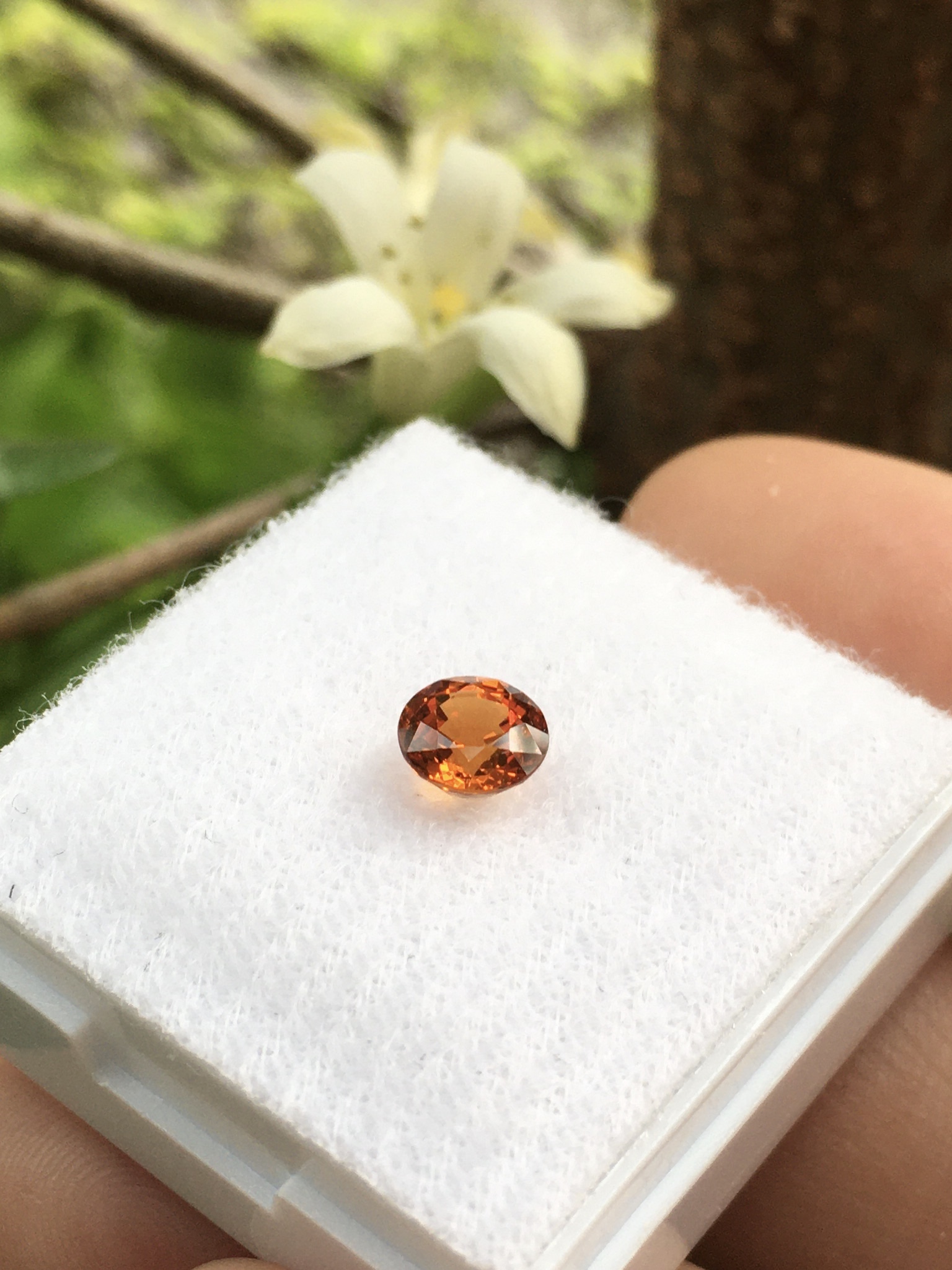 SPESSARTITE สเปซซาไทต์แท้ 0.80 กะรัต พลอยดิบ ธรรมชาติ เนื้อสะอาดใส ไฟดีม๊ากกก สีส้มสดสวย