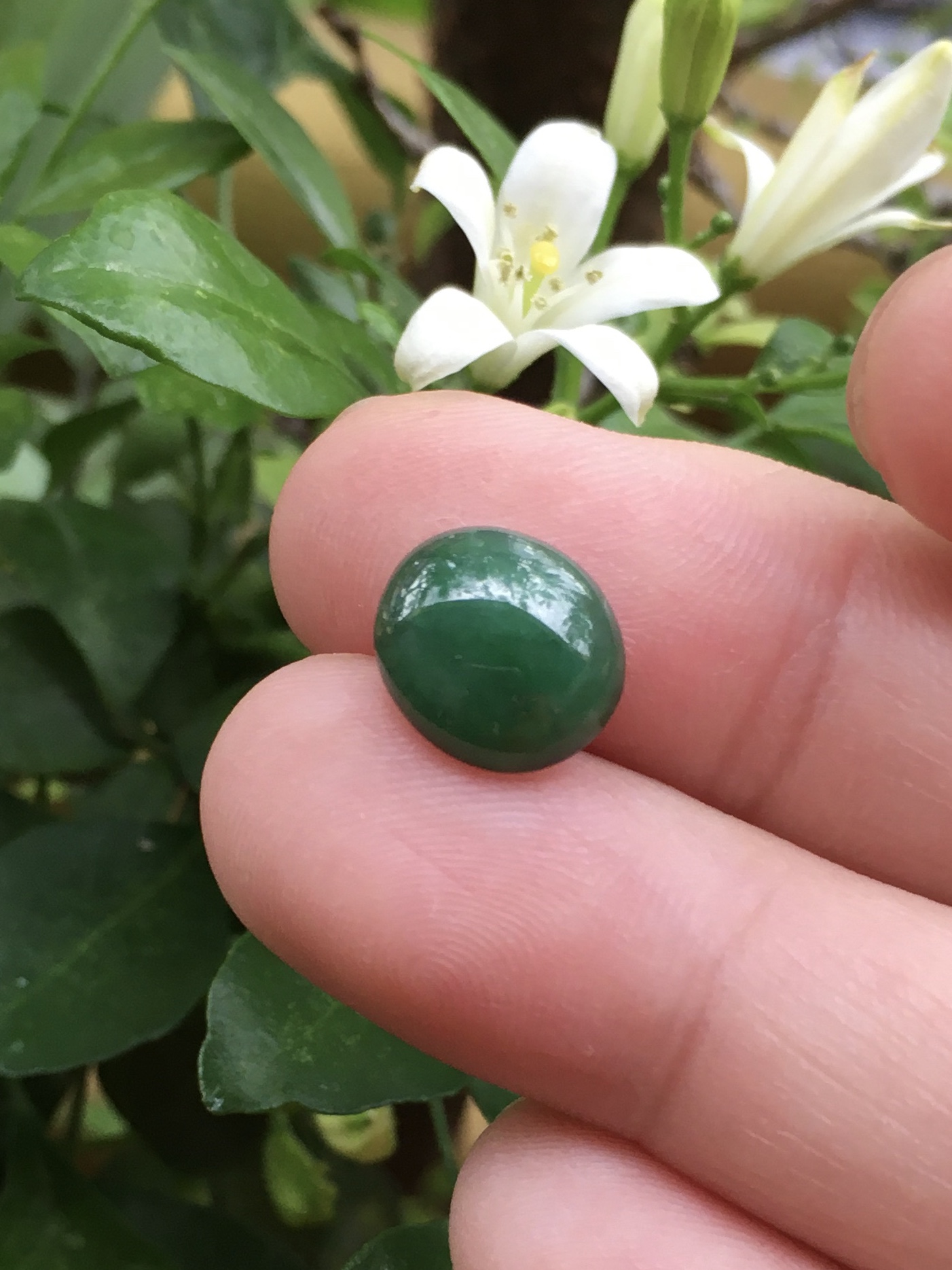 JADE หยกแท้ 3.15 กะรัต หยกพม่าสีสวยจัด เนื้อปัดเงาสวย ขนาดกำลังดี