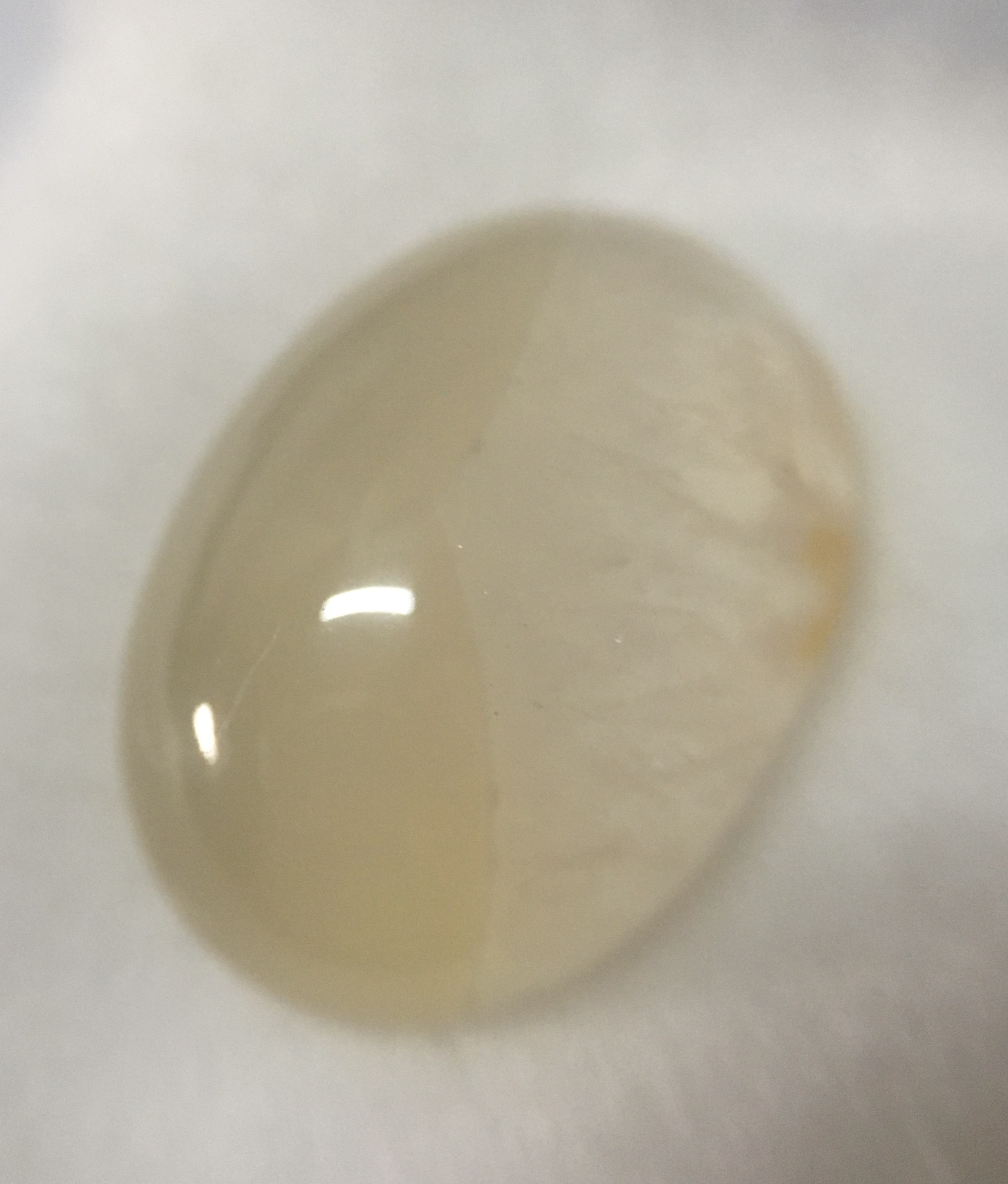 (สวยแปลก) GRAY AGATE อาเกตแท้ 12.87 กะรัต ลายแปลก สีขาวนวลเหมาะสะสม