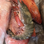 กุ้งลายเสือ (กุ้งม้าลาย) (ขนาด 2-3 ตัว/1 กิโล)