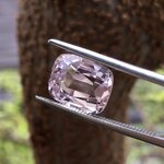 KUNZITE คุนไซต์ แท้ 3.75 กะรัต สีชมพูอ่อยสวยสดใส เนื้อสะอาด ไฟดี พลอยแท้ พลอยสวยน่าสะสม