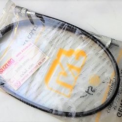 สายไมล์ ซูซูกิ แฟลช Flash