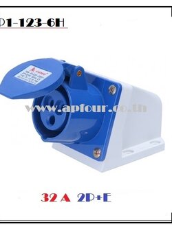 ปลั๊กไฟ เพาเวอร์ 32A 2สาย 3ขา แบบตัวเมียติดผนัง รุ่น P1-123-6h