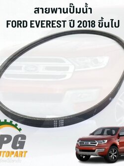 สายพานปั๊มน้ำ FORD EVEREST 2.0 L ปี 2018 ขึ้นไป (1เส้น) / แท้