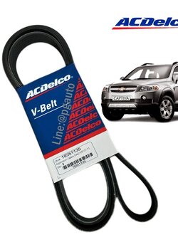 สายพานหน้าเครื่อง เชฟโลเลต แคปติว่า CHEVROLET CAPTIVA ปี 2007-2011 เครื่อง 2.0 DIESEL VCDi (6-2066) (1เส้น) / ACDELCO