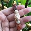 ข้อมือหินนำโชค ฟอสซิลปะการัง แท้ รูปทรงน่ารักค่ะ ลายสวย ใส่ง่าย