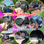 ช่างเปิดรถหนองจอก ลืมกุญแจไว้ในรถ รถล็อค 0850719056