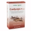 Cordyceps Plus Capsule HerbalOne