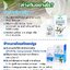 ยาแคปซูล ฟ้าทะลายโจรสกัด อ้วยอันโอสถ 500 mg. 60 แคปซูล