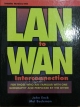LAN to WAN Interconnection